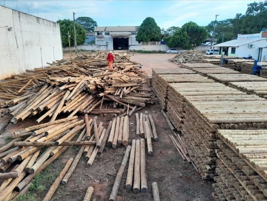 Vista ampla do pátio da empresa em Ji-Paraná, com peças de eucalipto tratado empilhadas em fardos alinhados e um funcionário ao fundo.